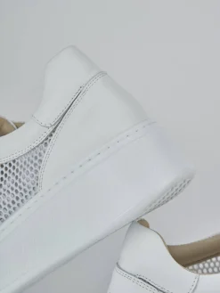 Discount Sneakers pelle Donna Sneakers