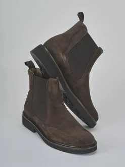 Stivaletti tacco 2cm camoscio testa Donna Stivaletti Tacco Basso