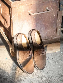 New Stringate camoscio testa Uomo Stringate